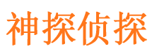 梨树侦探公司